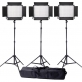 LedGo 3x LG-900CSC Bi-color LED studioverlichting set